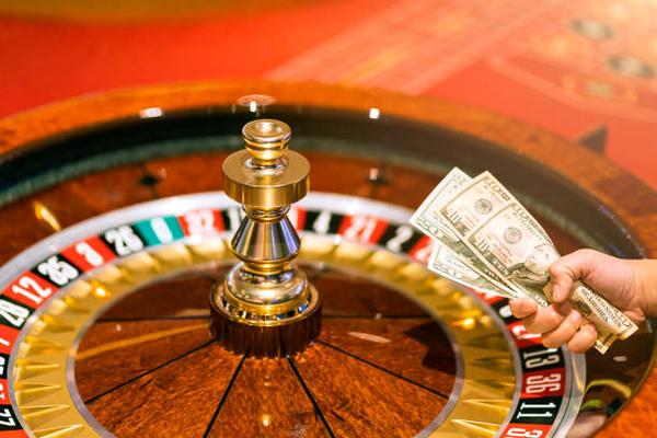 Understanding Platform Diversity Within betting in uae